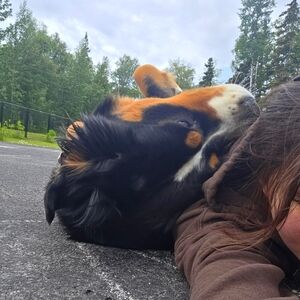 Introducing, Jasmine ! (Jas)